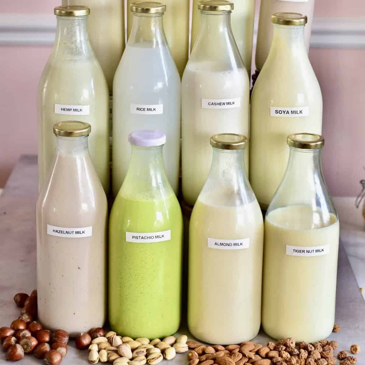 Stop Buying Milk: DIY Dairy-Free Recipes for Purer Plant-Based Drinks